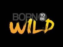 Born To Be Wild May 4 2025